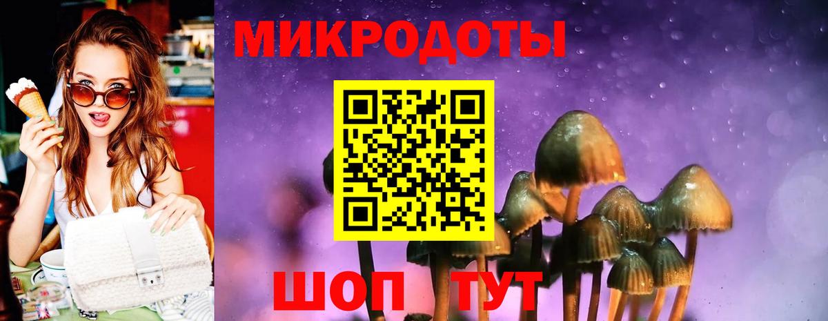 закладки  Вход с VPN  Москва  Галлюциногенные грибы GOLDEN TEACHER  Псилоцибиновые грибы Psilocybine cubensis 