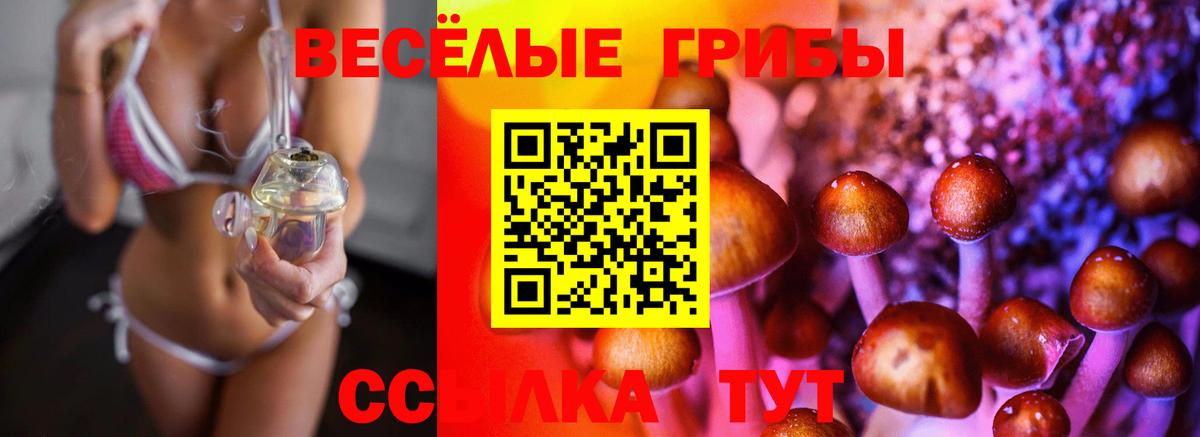 Галлюциногенные грибы Magic Shrooms Москва